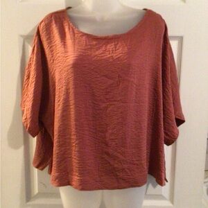 Adrianna Papell Terracotta Blouse